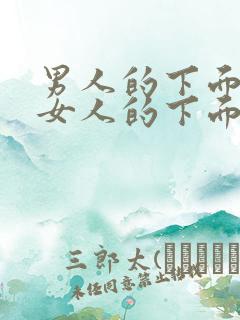 男人的下面插进女人的下面的视频