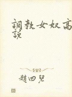 调教女奴高h小说