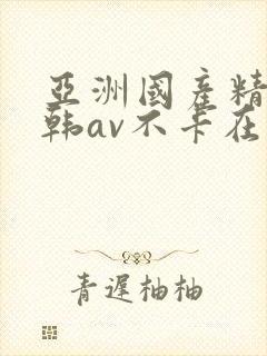 亚洲国产精品日韩av不卡在线