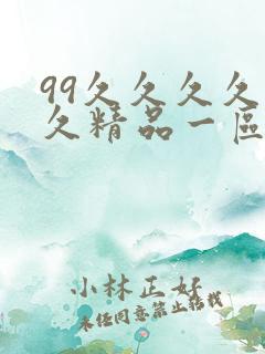 99久久久久久久精品一区