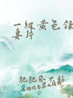 一级黄色录相夫妻片