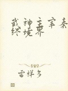 武神主宰秦尘最终境界