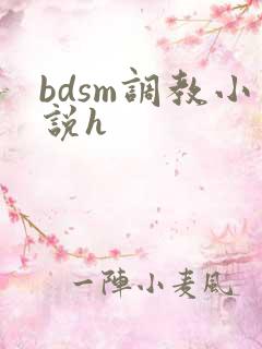 bdsm调教小说h