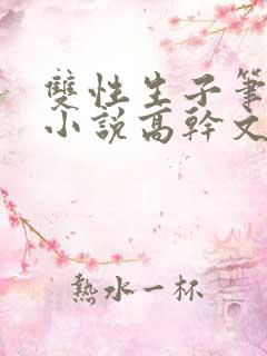 双性生子笔趣阁小说高干文