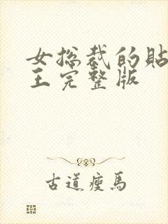 女总裁的贴身战王完整版