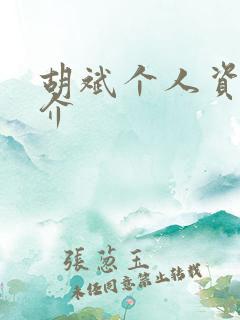 胡斌个人资料简介