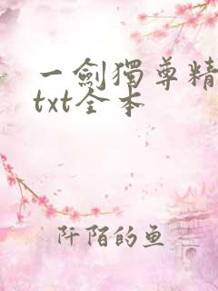 一剑独尊精校版txt全本