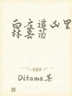 白夜追凶里面的林嘉茵