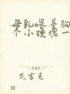 母乳喂养胸上有个小硬块一按就疼