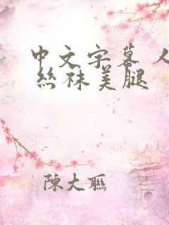 中文字幕 人妻 丝袜美腿