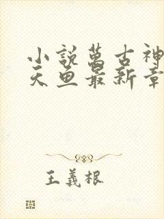 小说万古神帝飞天鱼最新章节列表最