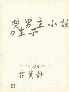 双男主小说abo生子