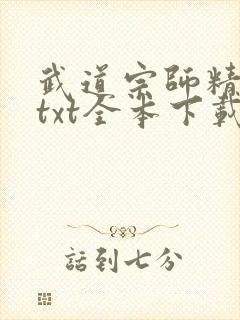 武道宗师精校版txt全本下载