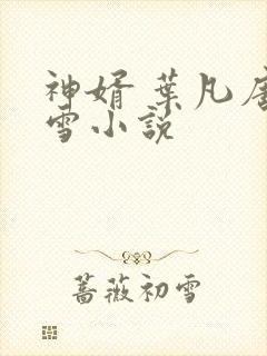 神婿 叶凡唐若雪小说