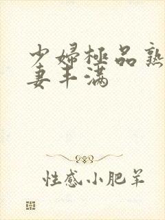 少妇极品熟妇人妻丰满