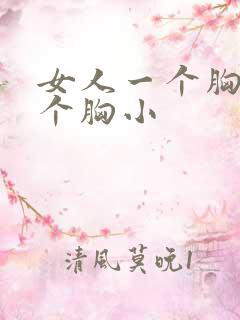 女人一个胸大一个胸小