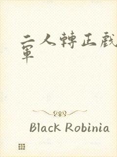 二人转正戏赵小军