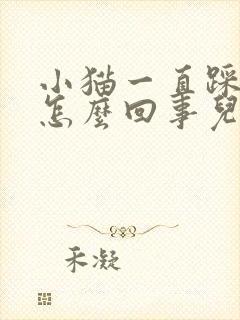 小猫一直踩奶是怎么回事儿