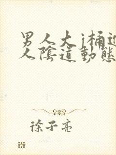 男人大j桶进女人阴道动态图