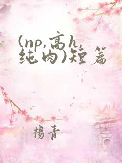 (np,高h,纯肉)短篇