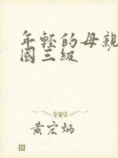 年轻的母亲3韩国三级