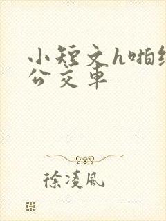 小短文h啪纯肉公交车