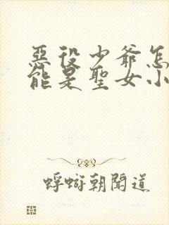 恶役少爷怎么可能是圣女小说免费阅读