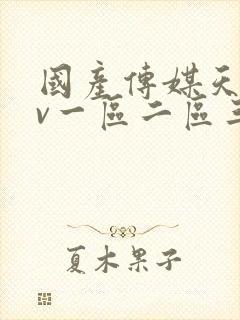 国产传媒天美av一区二区三区