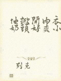 他掀开内衣揉我奶头好爽小说