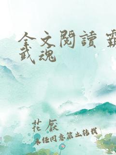 全文阅读 霸天武魂