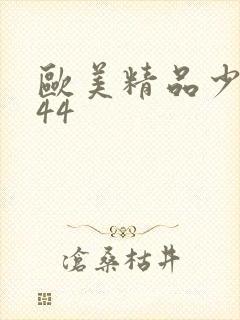 欧美精品少妇y44