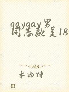 gaygay男同志欧美18