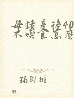 母猪产后40度不吃食怎么办