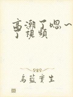 高潮了嗯～喷水了视频