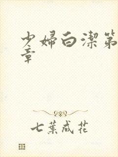 少妇白洁第25章