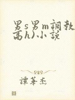 男s男m调教(高h)小说