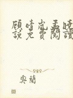 顾晴岚孟晓晓小说免费阅读最新章节