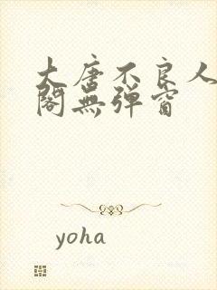 大唐不良人笔趣阁无弹窗