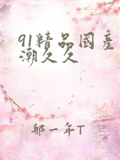 91精品国产高潮久久
