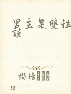 男主是双性人小说