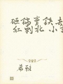 砸锅卖铁去上学 红刺北 小说