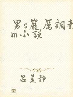 男s严厉调教女m小说