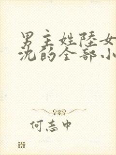 男主姓陆女主姓沈的全部小说