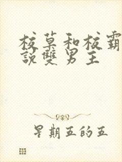 校草和校霸的小说双男主