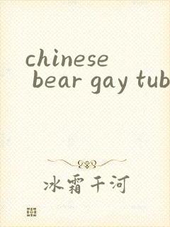 chinese bear gay tube