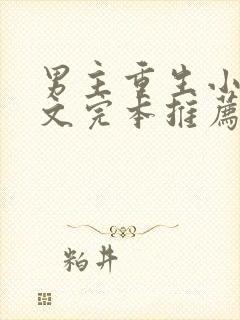 男主重生小说宠文完本推荐