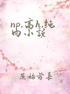 np,高h,纯肉小说