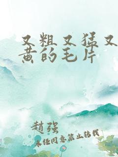 又粗又猛又爽又黄的毛片