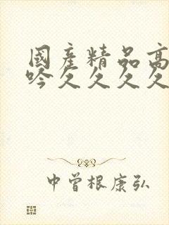 国产精品高潮呻吟久久久久久久久