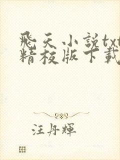 飞天小说txt精校版下载